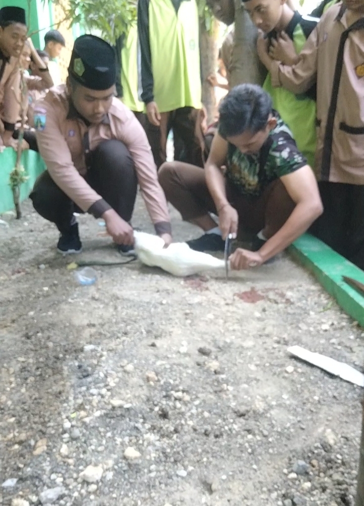Selenggarakan Pelatihan juru Sembelih Halal (Juleha) : MAU Bustanul Hikmah Siapkan Kader Calon Imamuddin masa depan